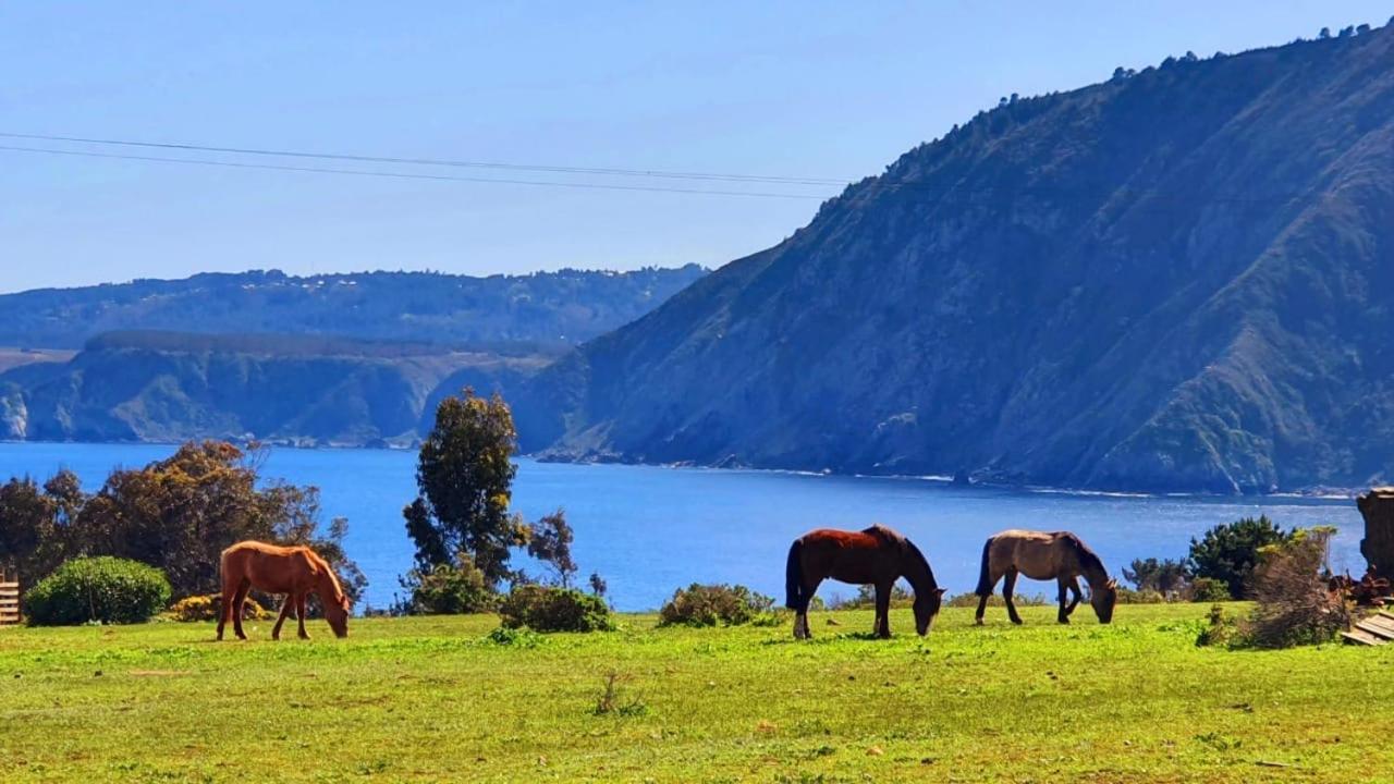 Cabana En Tunquen Con Parrilla, Fogon, Piscina Y Bosque Kültér fotó