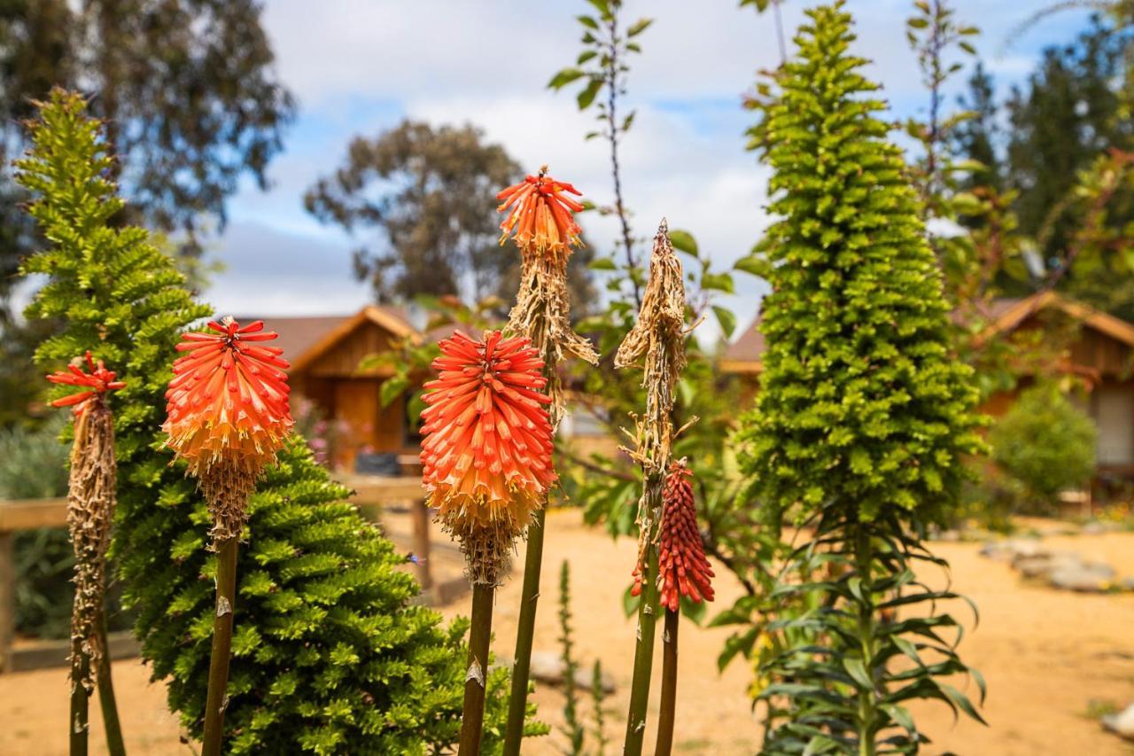 Cabana En Tunquen Con Parrilla, Fogon, Piscina Y Bosque Kültér fotó