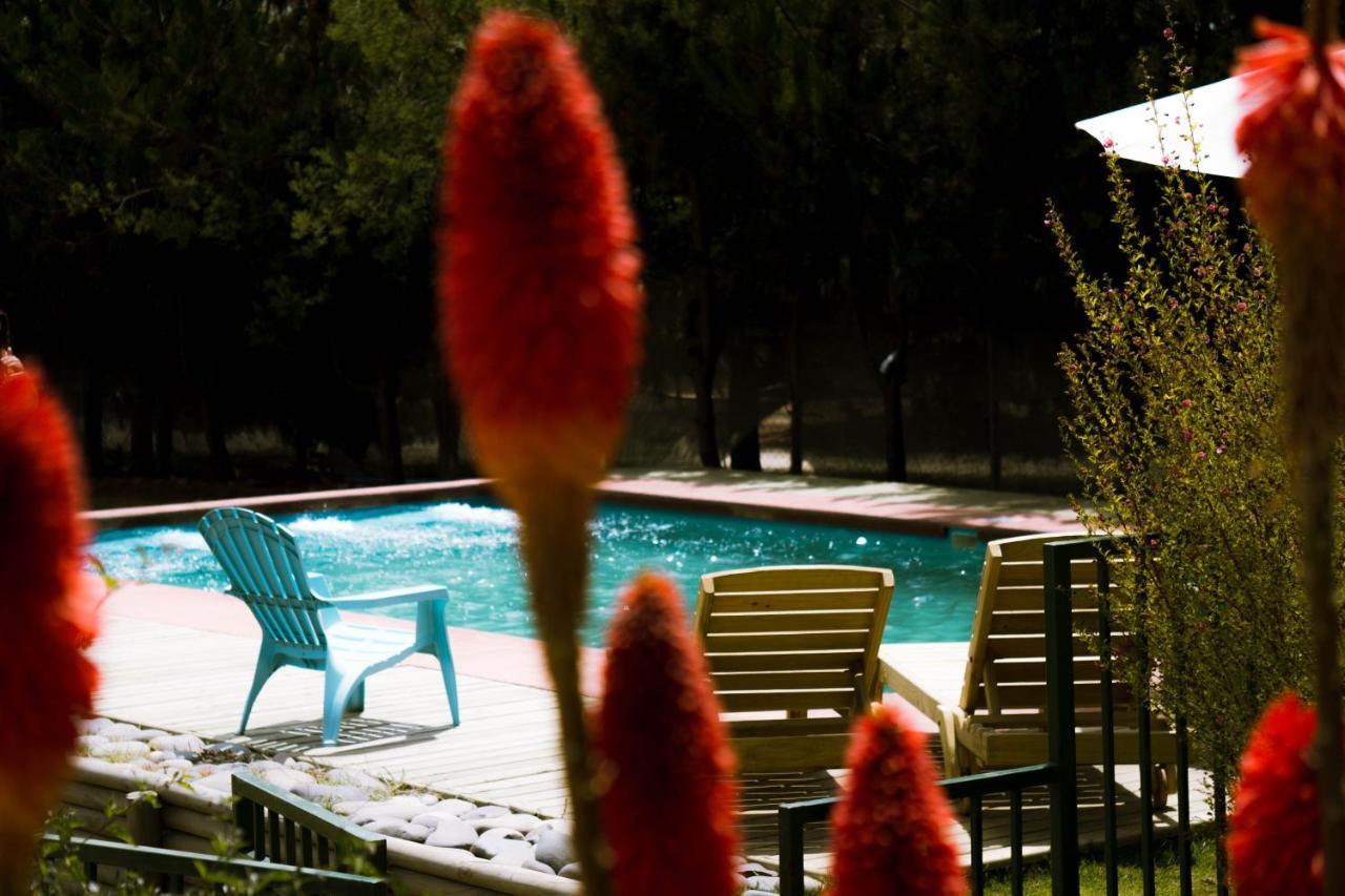 Cabana En Tunquen Con Parrilla, Fogon, Piscina Y Bosque Kültér fotó