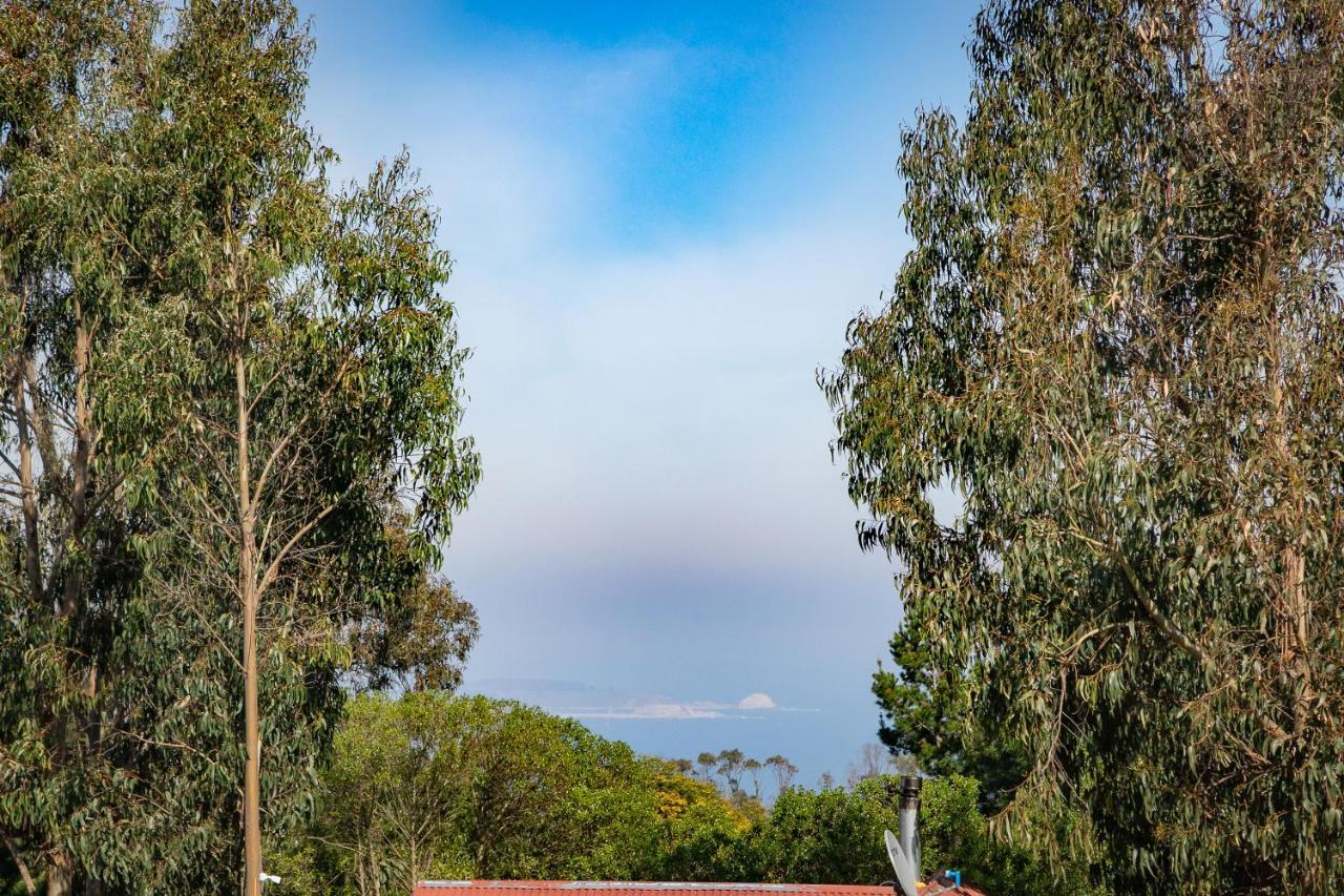 Cabana En Tunquen Con Parrilla, Fogon, Piscina Y Bosque Kültér fotó
